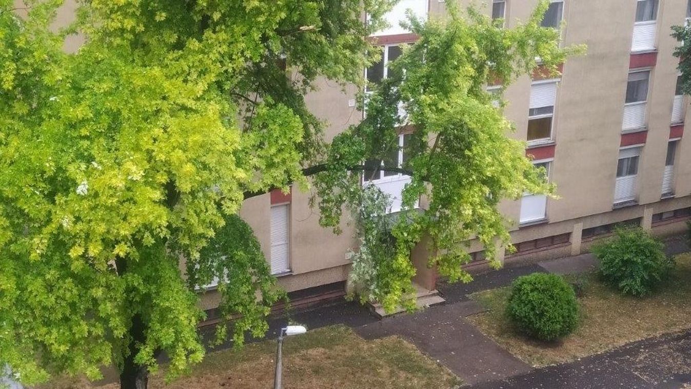 Viharos szél rongált az Anikó utcában – a tűzoltók létrája otthon maradt?