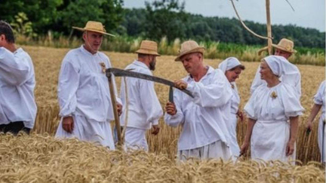 Ismét megrendezik Mohácson a hagyományos Aratónapot - Íme, a részletes program
