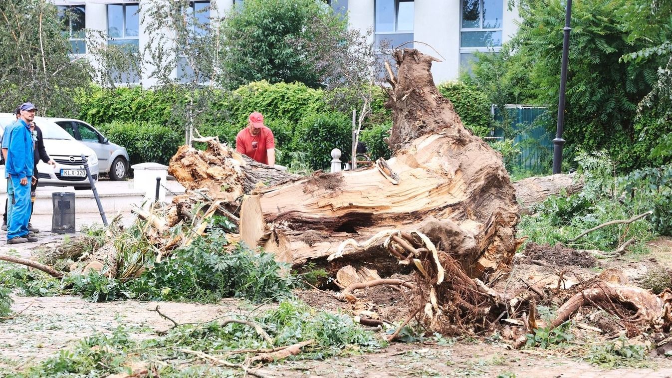 Eszméletlen rekordokat döntött a pusztító vihar Magyarországon − és ez csak a kezdet (VIDEÓ)