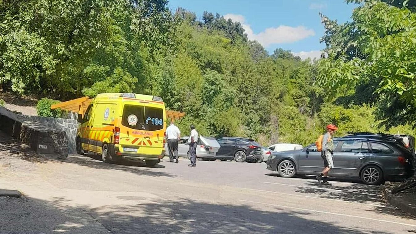 Pécsi hősök Badacsonyban: nyaralás közben mentették meg egy ember életét