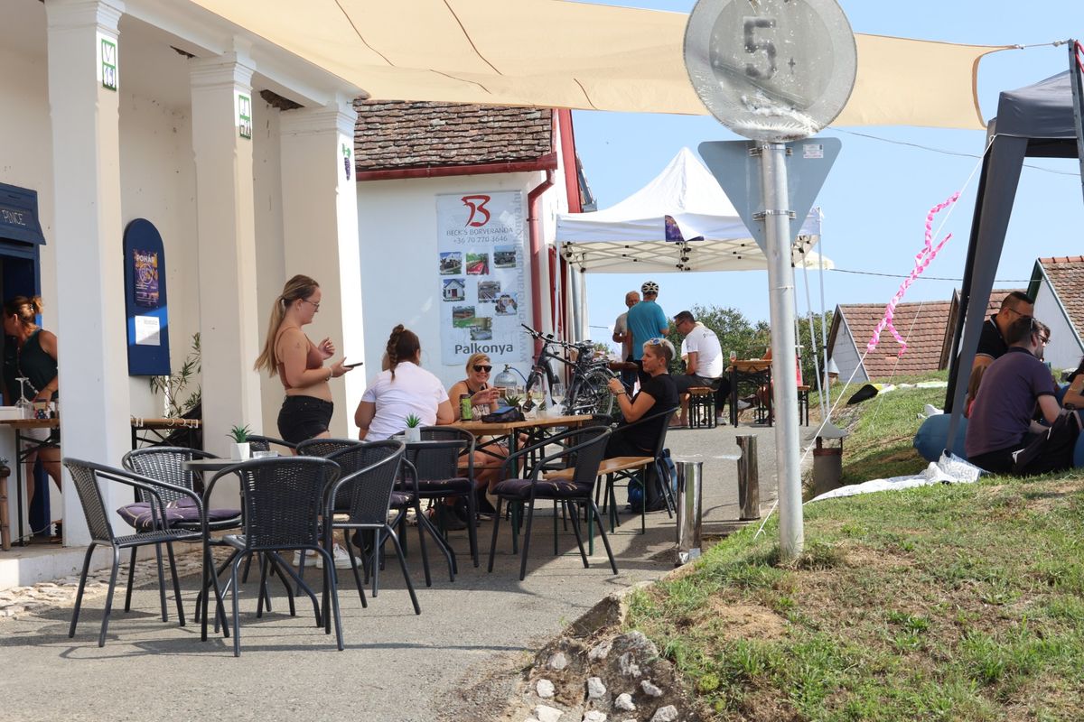 A gazdag baranyai programkínálat egyik kiemelt hétvégi eseménye volt a palkonyai pinceajtók ismételt kinyitása